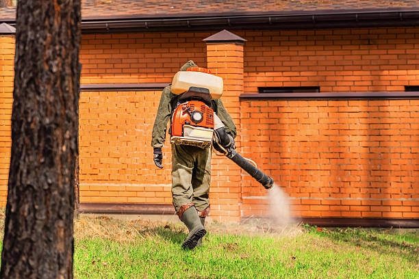 Bed Bug Clearance Verification and Documentation in Springfield